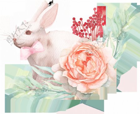 鲜花与小白兔卡通透明素材