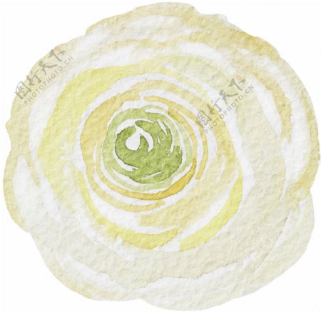 白黄花蕊卡通水彩透明素材