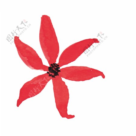 红色艳丽花卉透明素材