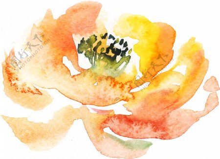 秋黄花瓣卡通透明素材