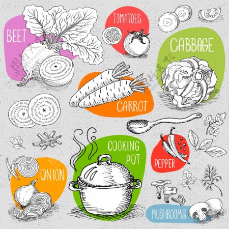 手绘各种烹饪蔬菜插画