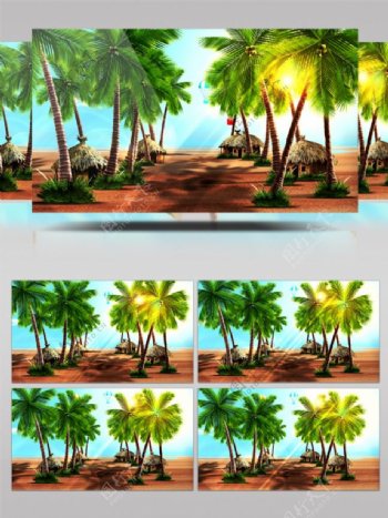 沙滩椰树三亚自然风光海岸视频