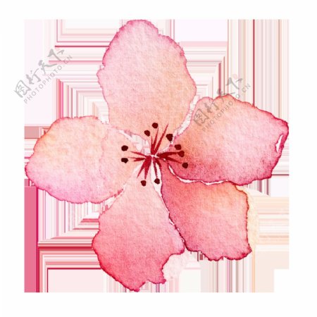 彩绘粉色桃花花朵png元素