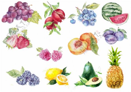 手绘水果装饰图案