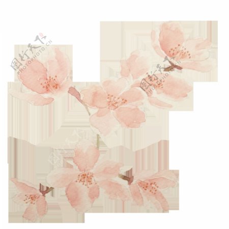 清新风格暗粉色花瓣樱花装饰元素