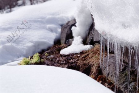 積雪