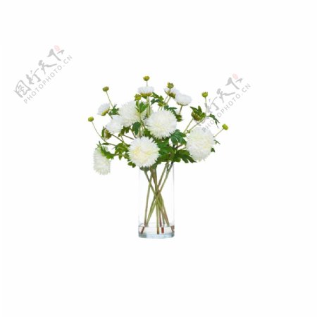 清新春节白色花朵花束实物元素