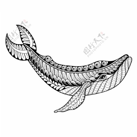 黑白艺术花纹鲸鱼插画