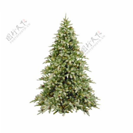 冬季圣诞节绿色带装饰灯光雪树