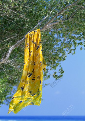 黄色围巾