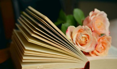 书与花香