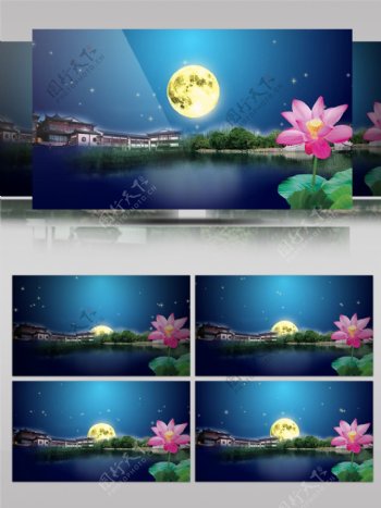 中秋节LED荷塘月色美丽背景视频素材