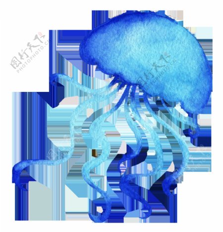水彩蓝色海底生物免扣素材合集