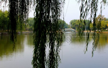 明光南湖公园