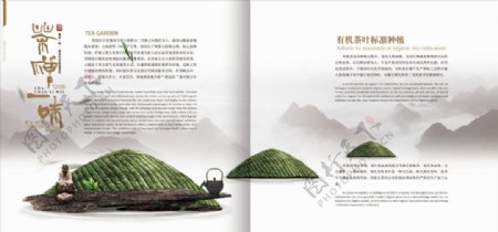 茶文化画册712