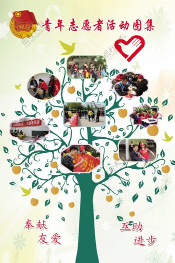 青年志愿者活动图集爱心树