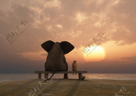 治愈系萌物凳上的大象和小狗背影