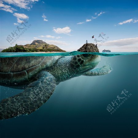 创意水中海龟