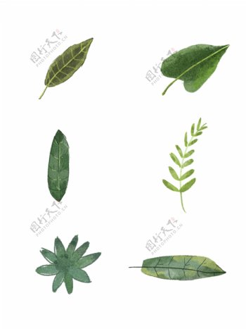 树叶植物插画可商用元素