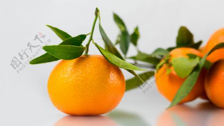 新鲜的柑橘