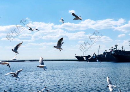 圣彼得堡喀琅施塔得军港
