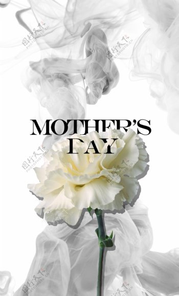 大气母亲节康乃馨花朵海报背景设计