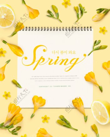韩式黄色花朵笔记本海报模板设计