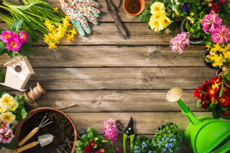 园艺工具和春天的花朵