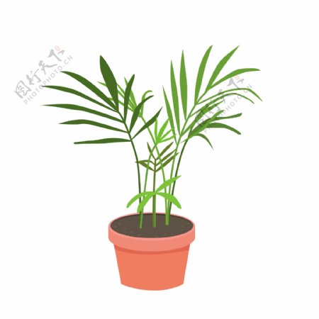 袖珍椰子家居植物热带室内盆栽矢量元素