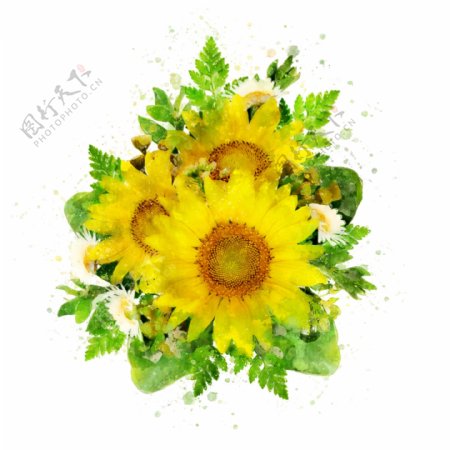手绘黄色向日葵植物花卉水彩元素