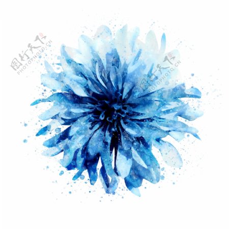 手绘蓝色花卉元素
