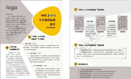 中韩国际班创意单页