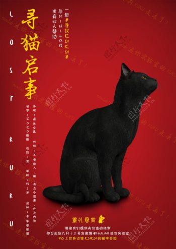 寻猫启事宣传海报