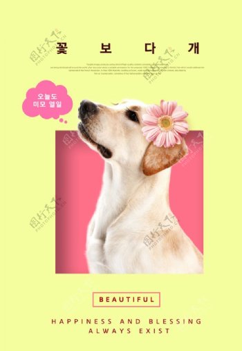 宠物简约时尚海报13