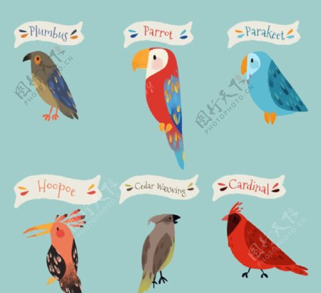 彩绘标注名称的鸟类