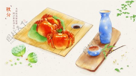 秋季肥美大闸蟹美食手绘插画