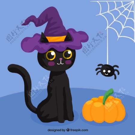 卡通万圣节黑猫和蜘蛛