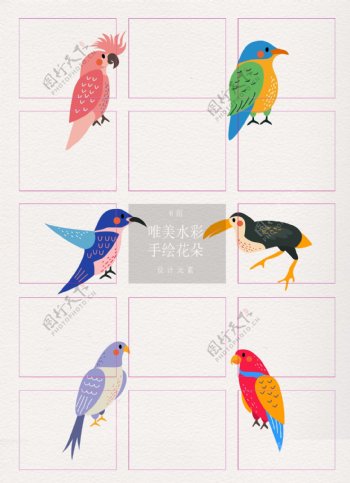 6款彩绘鸟类矢量素材