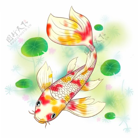商用新年红色黄色锦鲤新春鲤鱼飘逸装饰图案