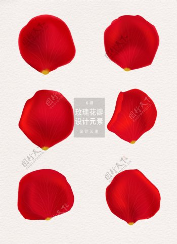 红色玫瑰花瓣设计元素