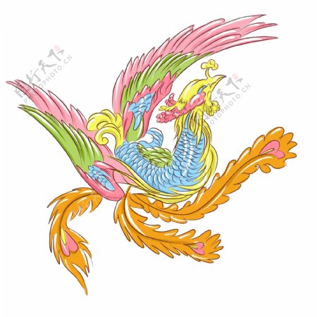 手绘动物中国风凤凰