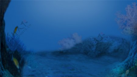 海底世界的背景图