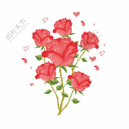 手绘花浪漫玫瑰花植物花卉花朵清新情人节