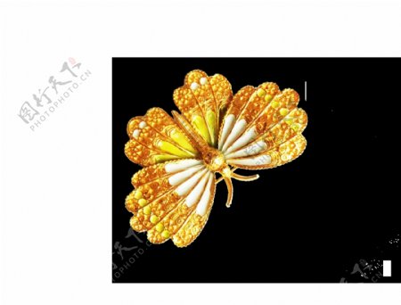 金色立体蝴蝶装饰素材