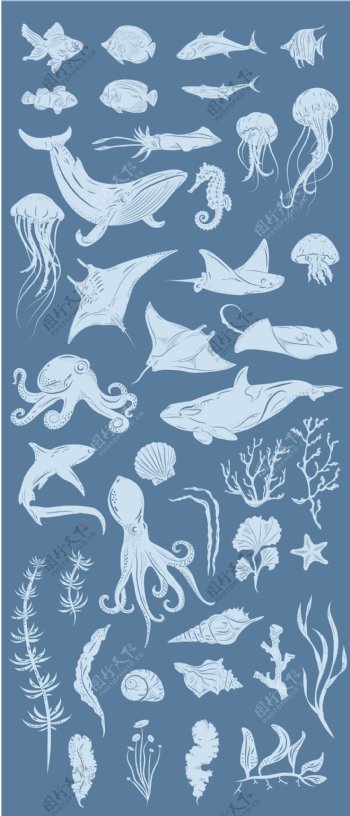 矢量海洋动物