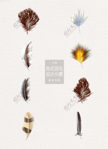 各式鸟类羽毛设计元素