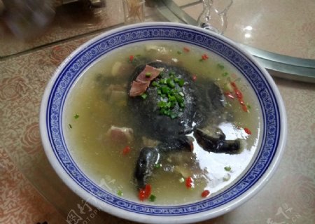 清炖甲鱼汤