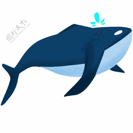 可爱手绘蓝色小鲸鱼插画