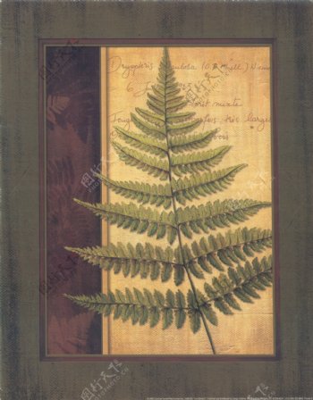 复古美式植物树叶装饰画