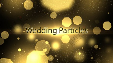 华丽的金色粒子光斑婚礼主题内容展示模板